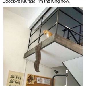 Meet your Posher, Marco